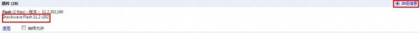 谷歌浏览器flash崩溃怎么办 Google Chrome flash崩溃解决方法