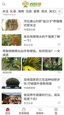 软件截图