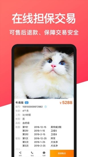 软件截图