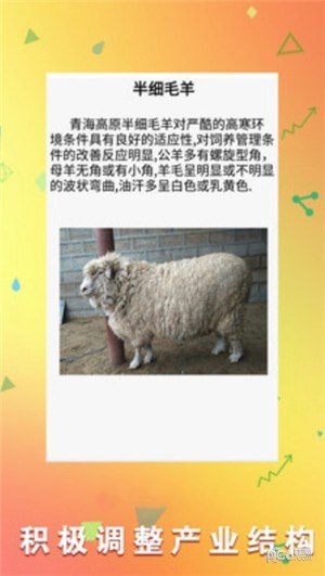软件截图