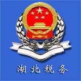 湖北税务网上税务局安卓版