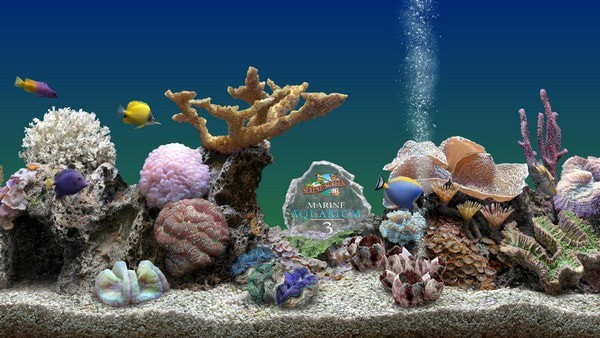 MarineAquarium3(屏保工具)