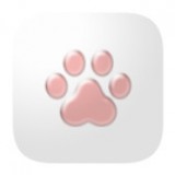 猫爪论坛安卓版