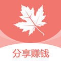 枫叶转安卓版