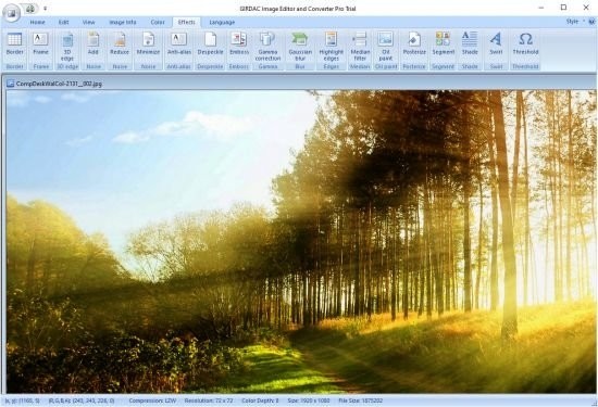 GIRDAC Image Editor and Converter Pro(智能图像编辑器)