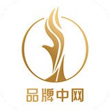 品牌中网安卓版