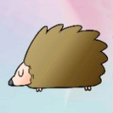 刺猬达人安卓版