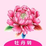 牡丹看点安卓版