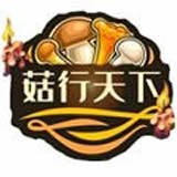 菇行天下安卓版