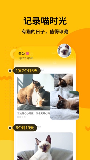 软件截图