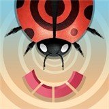 速度昆虫大作战安卓版