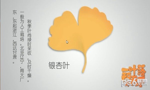 软件截图
